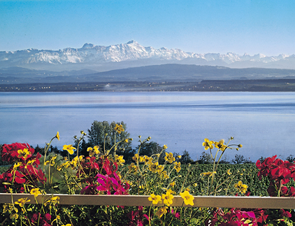 Auhof am Bodensee